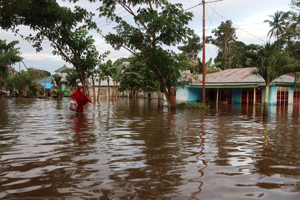 Pengungsi banjir Konawe yang sakit capai 3.110 Jiwa