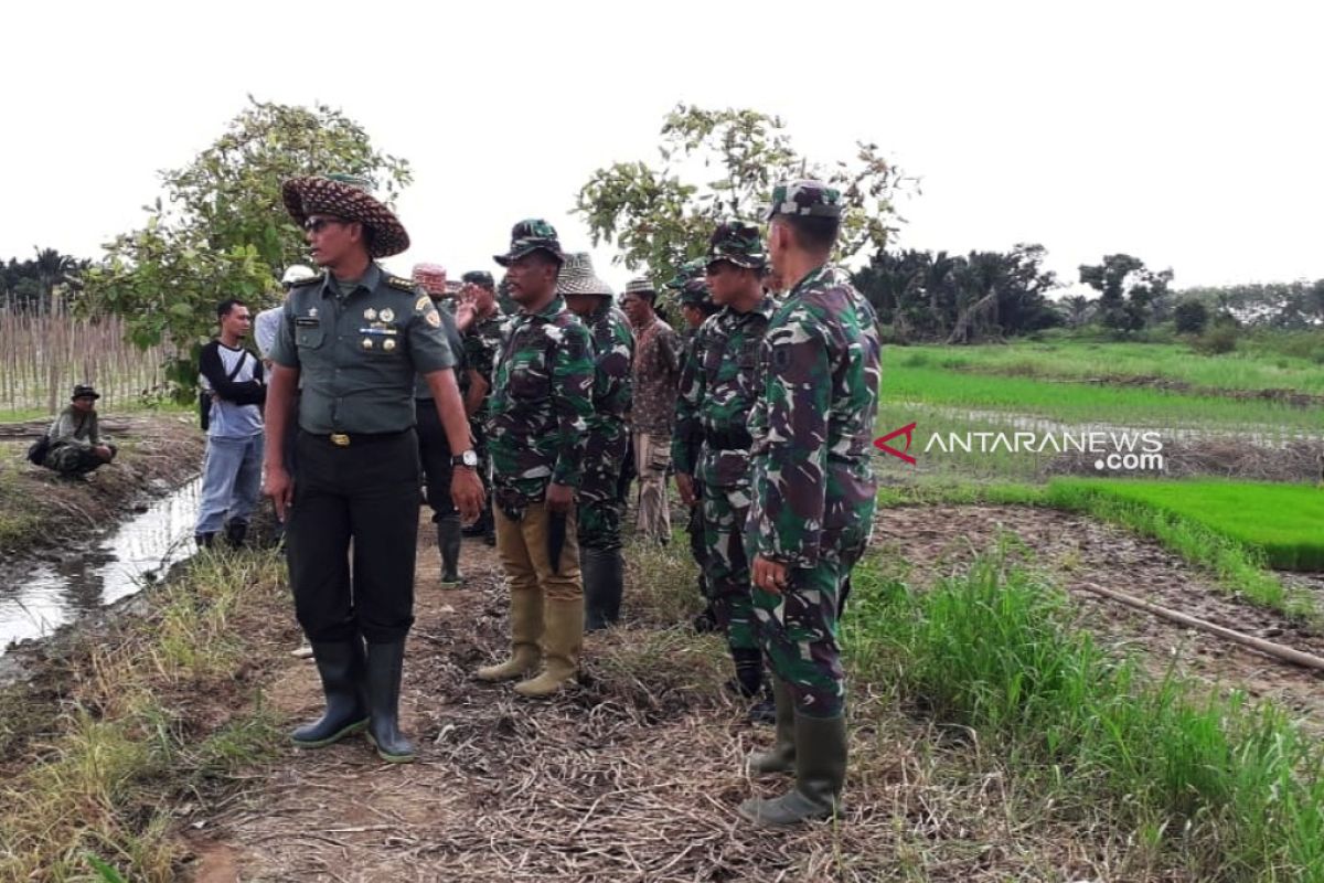 Didukung TNI, pertanian daerah rawa HST dioptimalkan