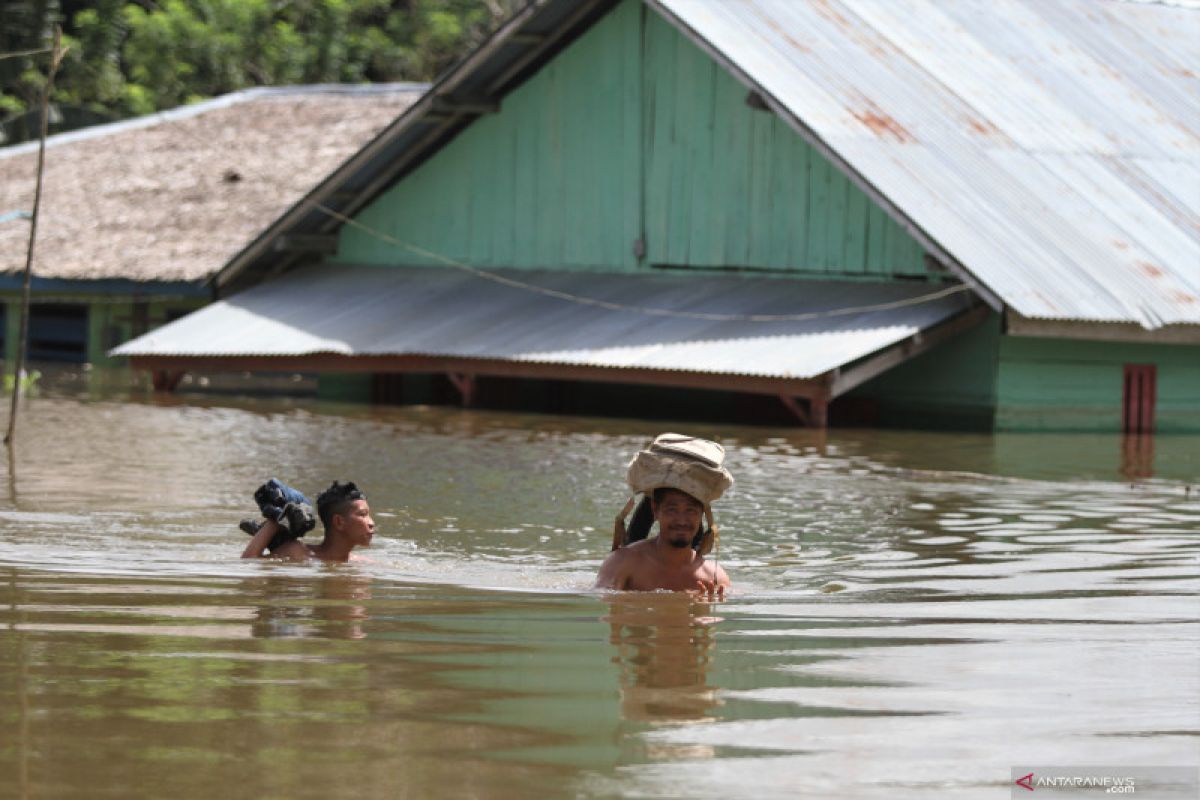 Kerugian akibat banjir di Konawe Selatan capai Rp19,422 miliar