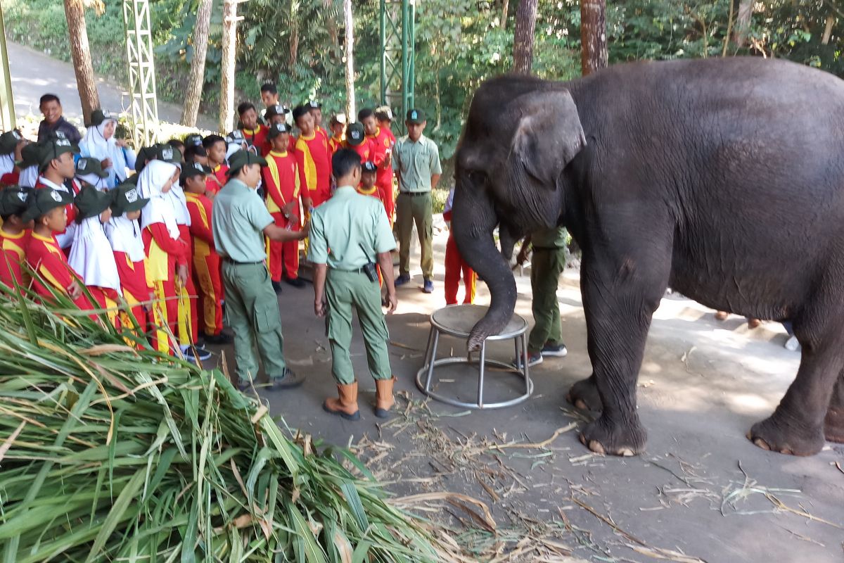 Ratusan siswa SD Pasuruan belajar konservasi hewan dilindungi