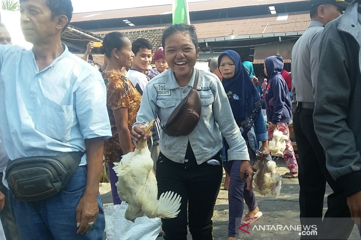 Peternak merugi akibat anjloknya harga ayam