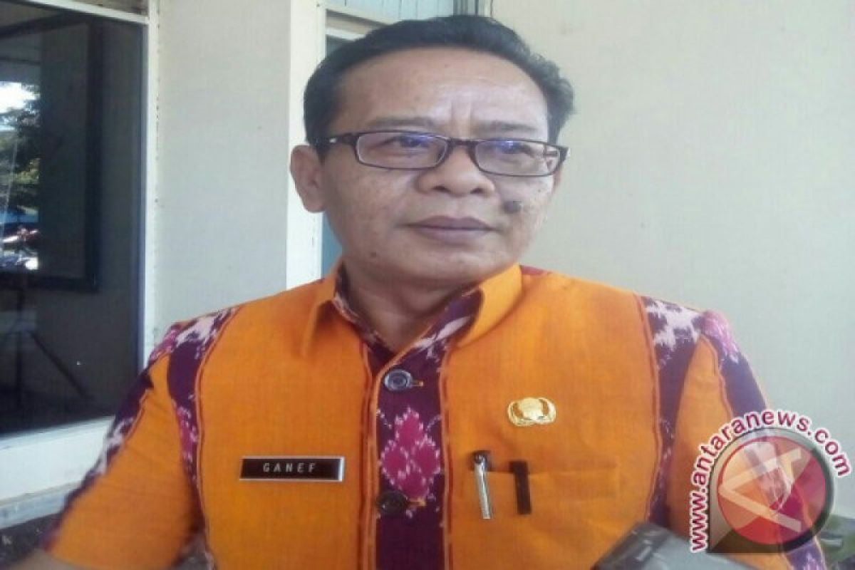 Sejuta ekor benih kerapu siap dibudidayakan di Ngada