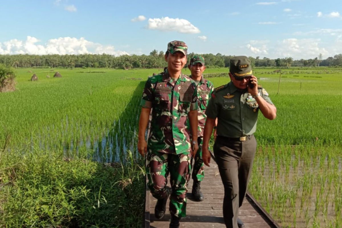 Kodim supports swamp land optimizing in Tabalong