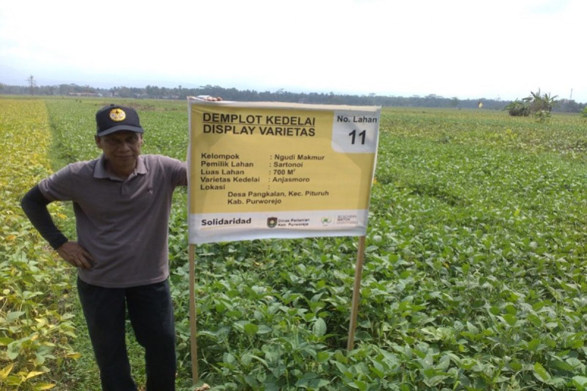 Akademisi ingatkan petani gunakan benih baru kedelai