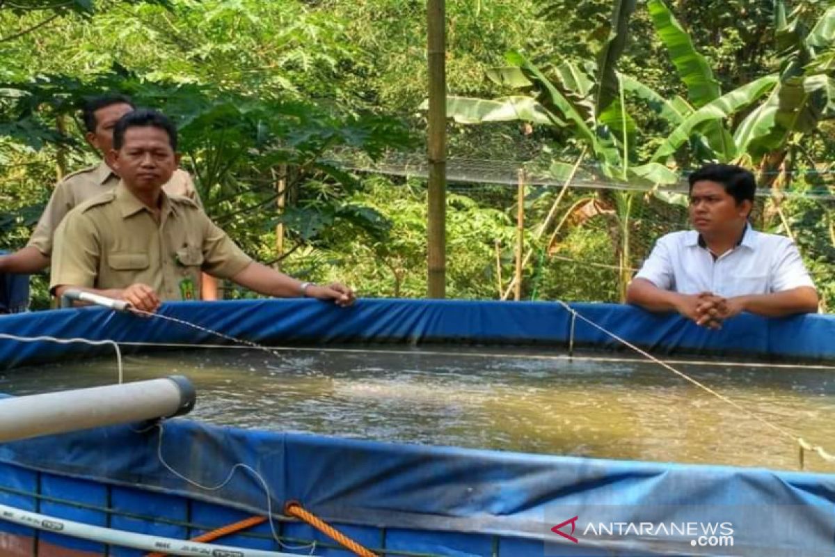 Produksi perikanan Kulon Progo diprediksi turun sekitar 40 persen