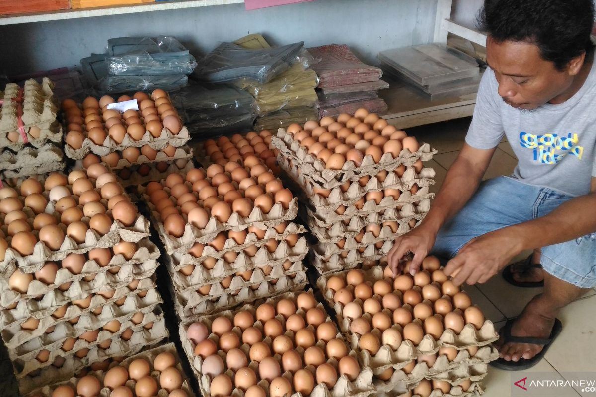 Harga telur ayam di Pasar Kwandang Gorontalo Utara menurun