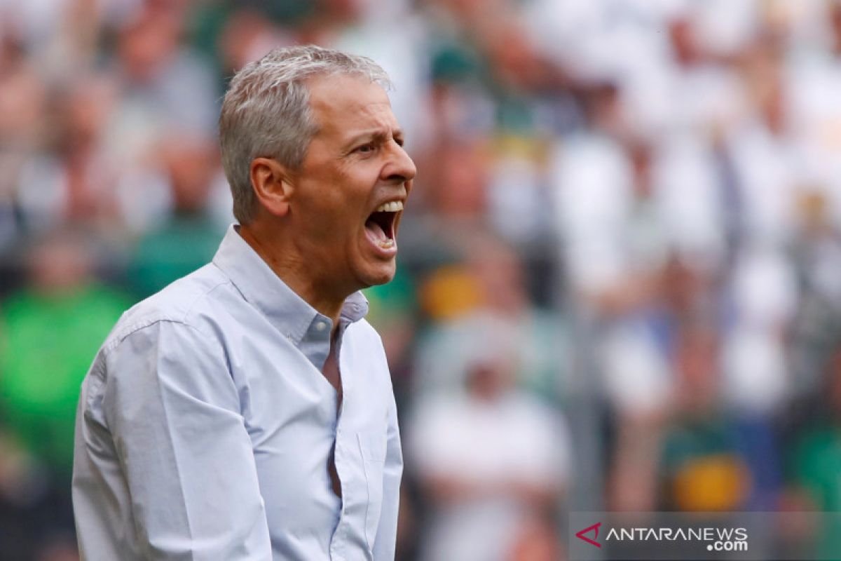 Borussia Dortmund memperpanjang kontrak Lucien Favre