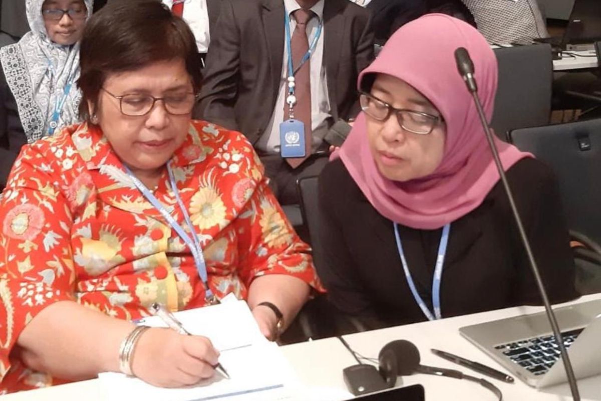 Dalam UNFCCC, Indonesia usung "blue carbon" kurangi emisi karbon