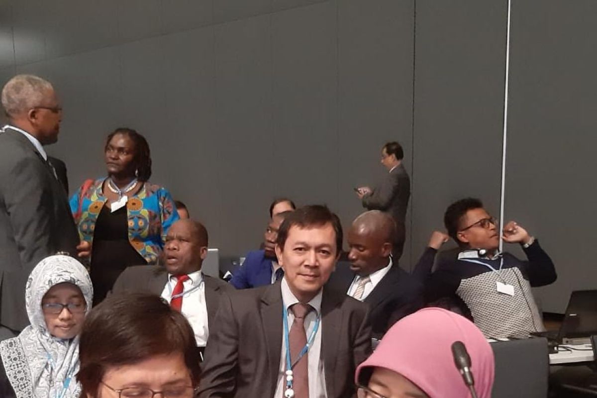 Indonesia mengusung peran "blue carbon" kurangi emisi karbon di UNFCCC