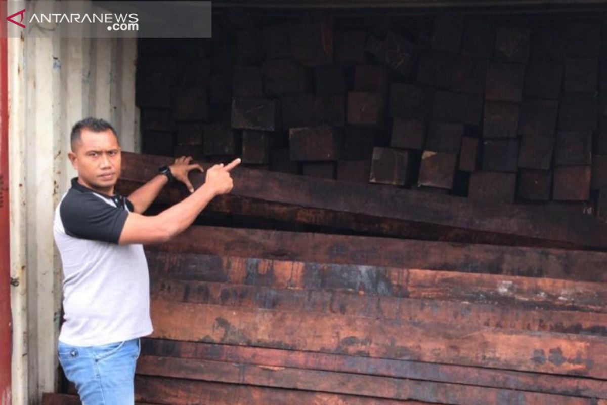 Polda amankan empat kontainer kayu merbau di Sorong