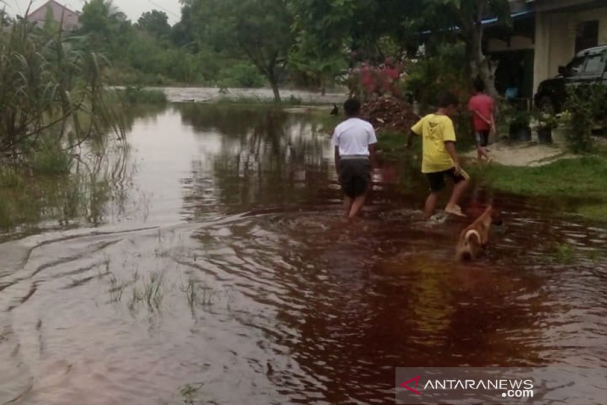 Pengamat: Pemerintah Kota Pekanbaru belum optimal atasi banjir