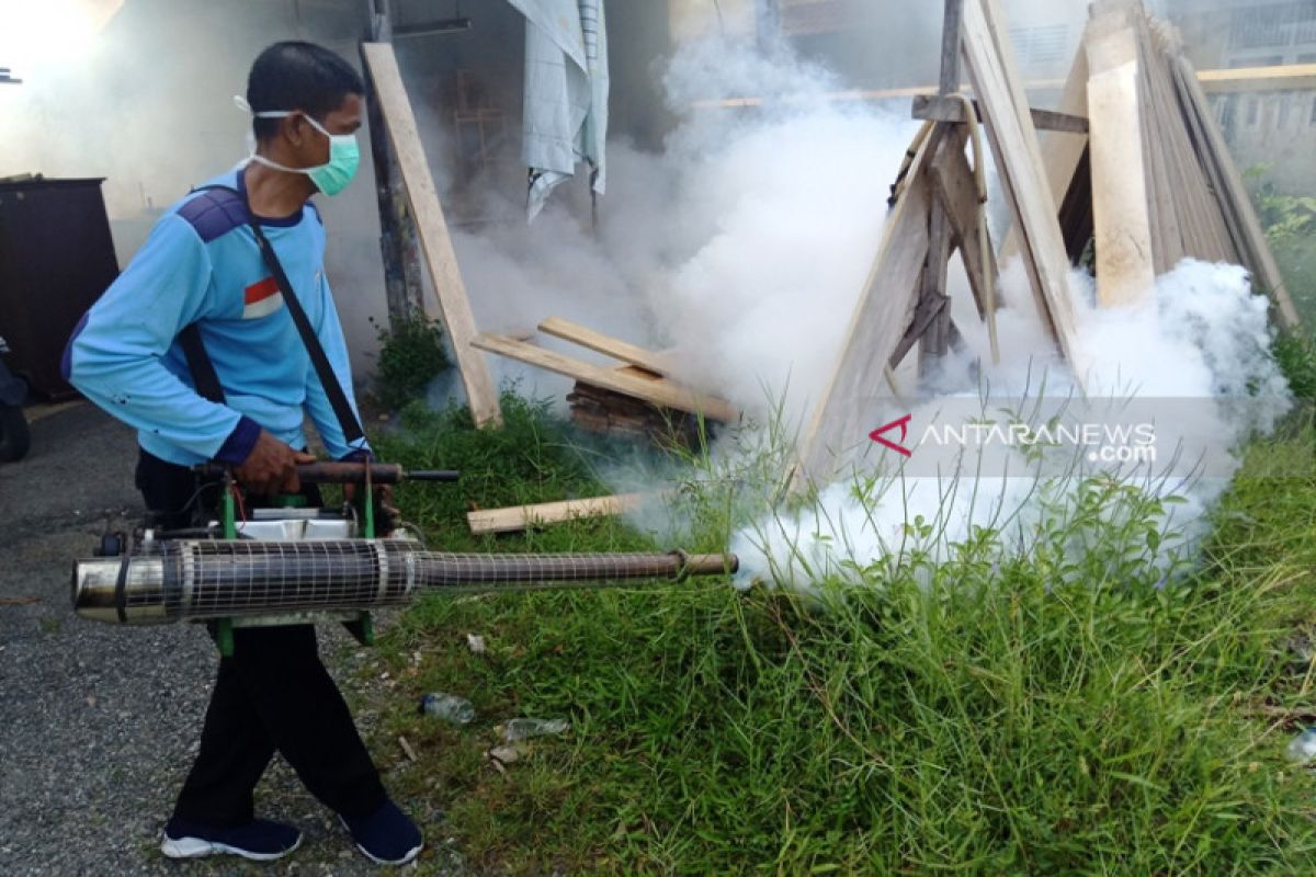 Puluhan anak terjangkit DBD di Aceh Barat