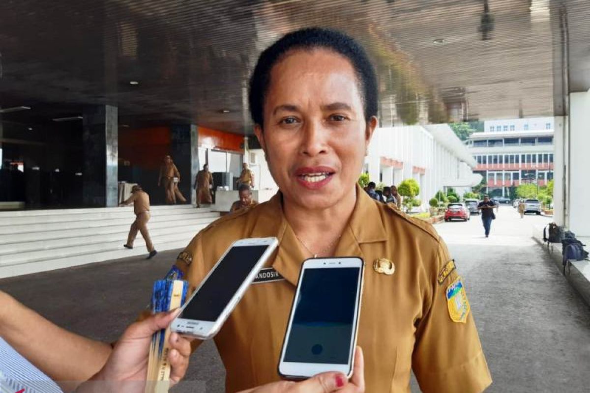 BLH Papua menargetkan revitalisasi lahan gambut di Merauke