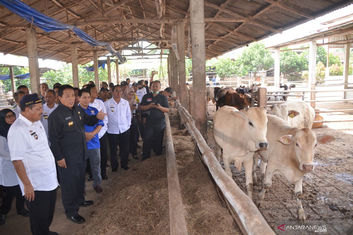 Arinal : Lampung miliki potensi besar untuk perkebunan dan ternak nasional