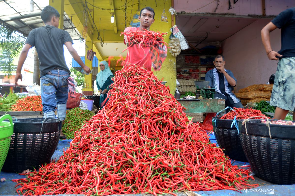 Sempat Rp64.000 perkilogram, harga cabai di Payakumbuh kembali normal