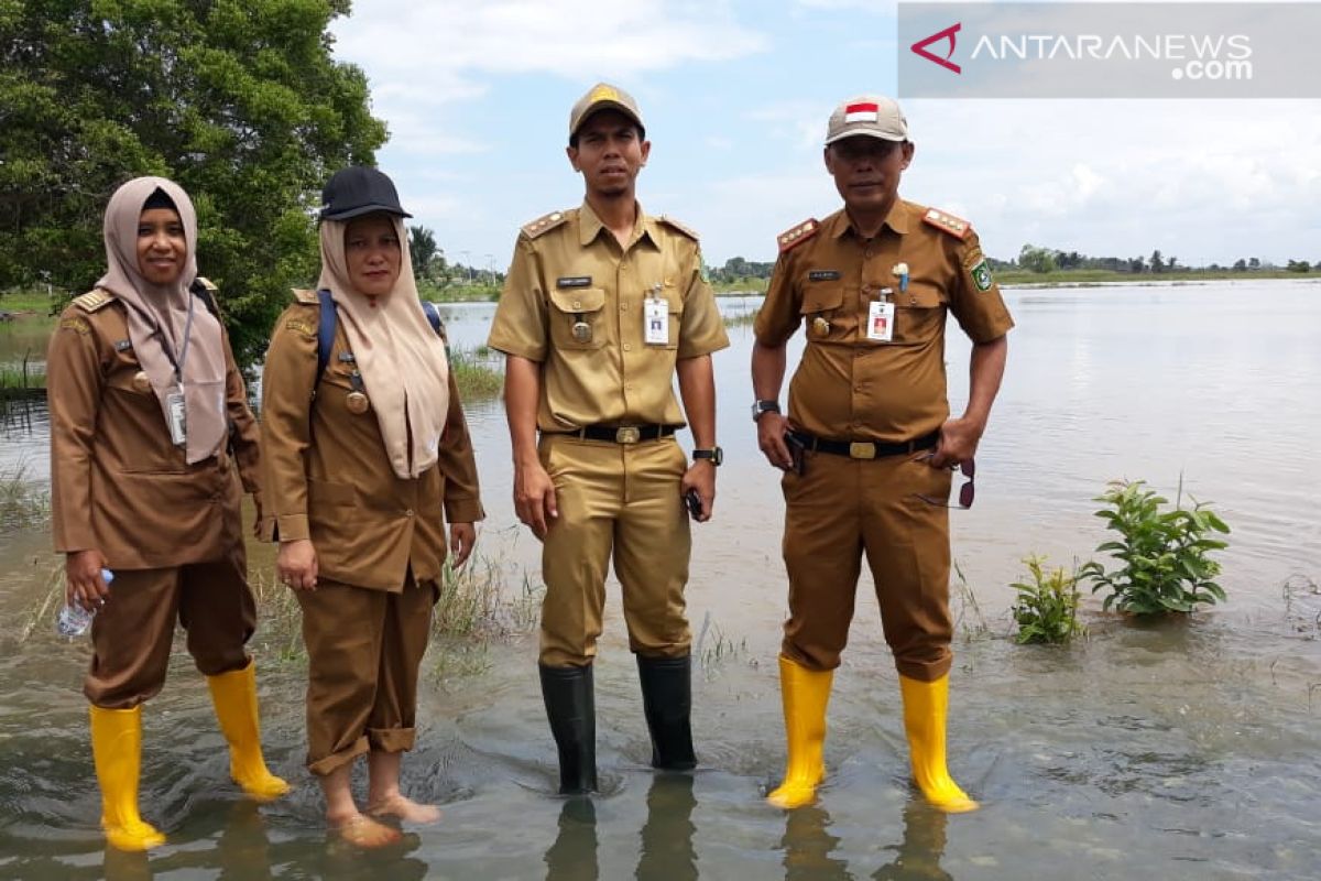 Petani Tanah Bumbu terancam gagal panen karena banjir