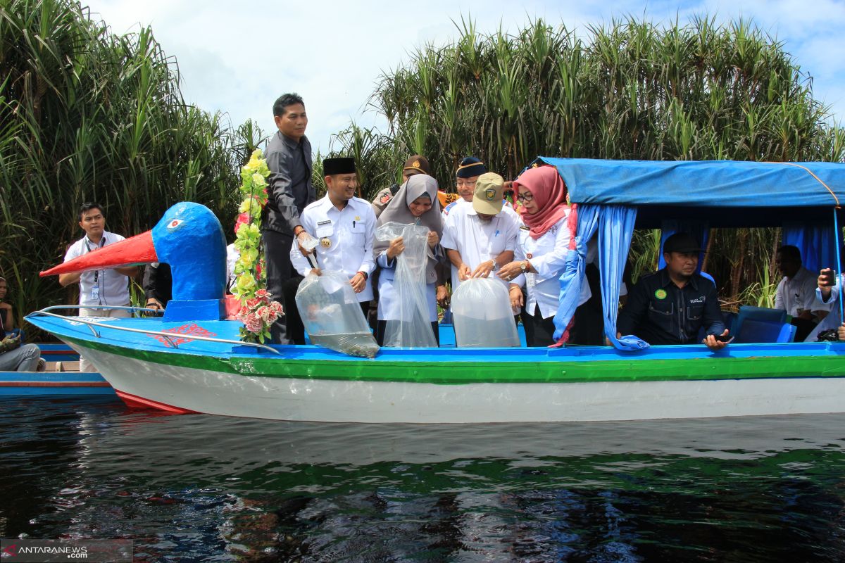 Wali Kota Palangka Raya lepas 72 ribu benih ikan di kawasan wisata 'air hitam'