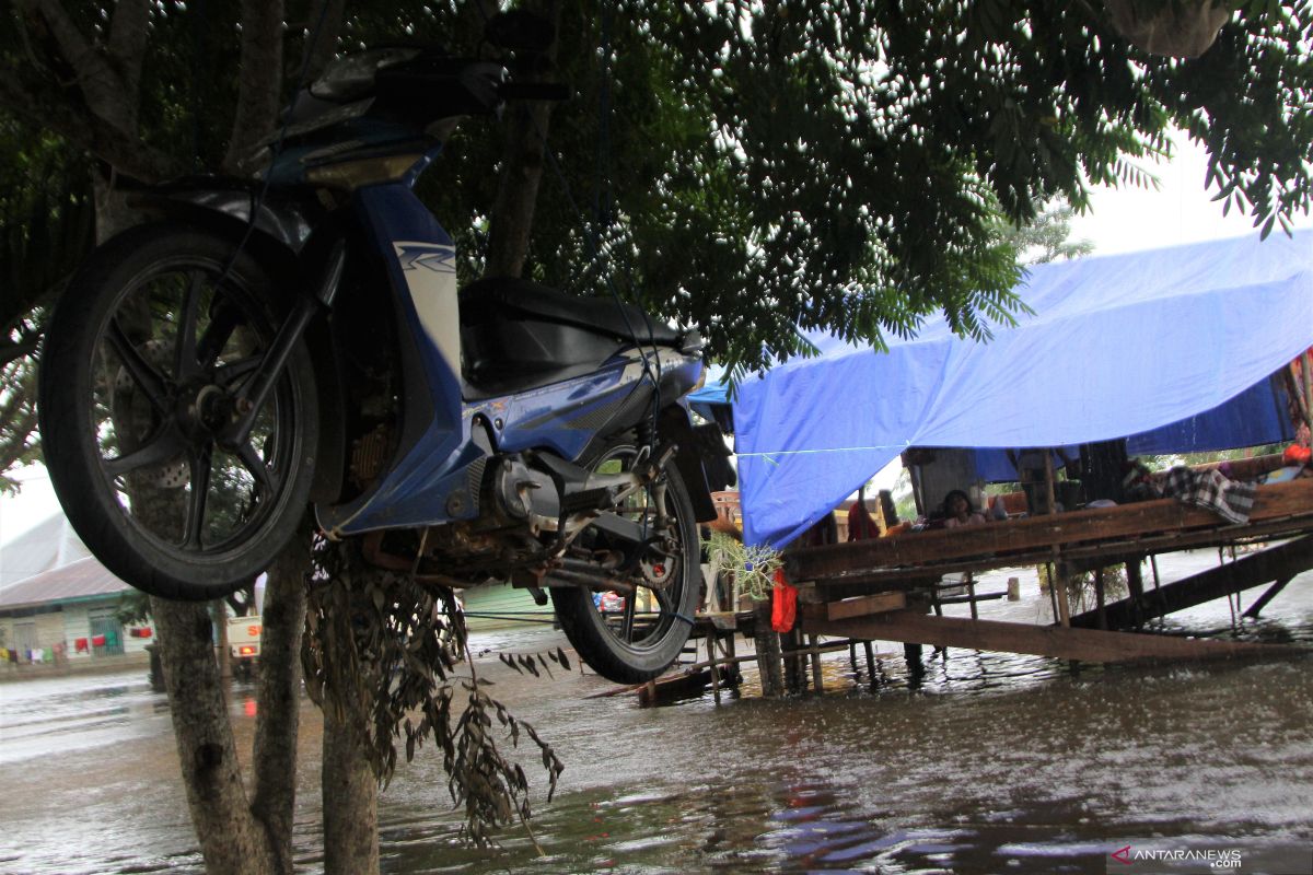 Banjir, dua kecamatan di Kabupaten Konawe masih terisolasi