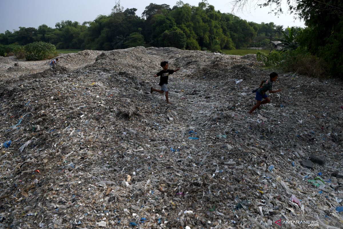 Ecoton sebut udang di tambak Sidoarjo terindikasi mikroplastik