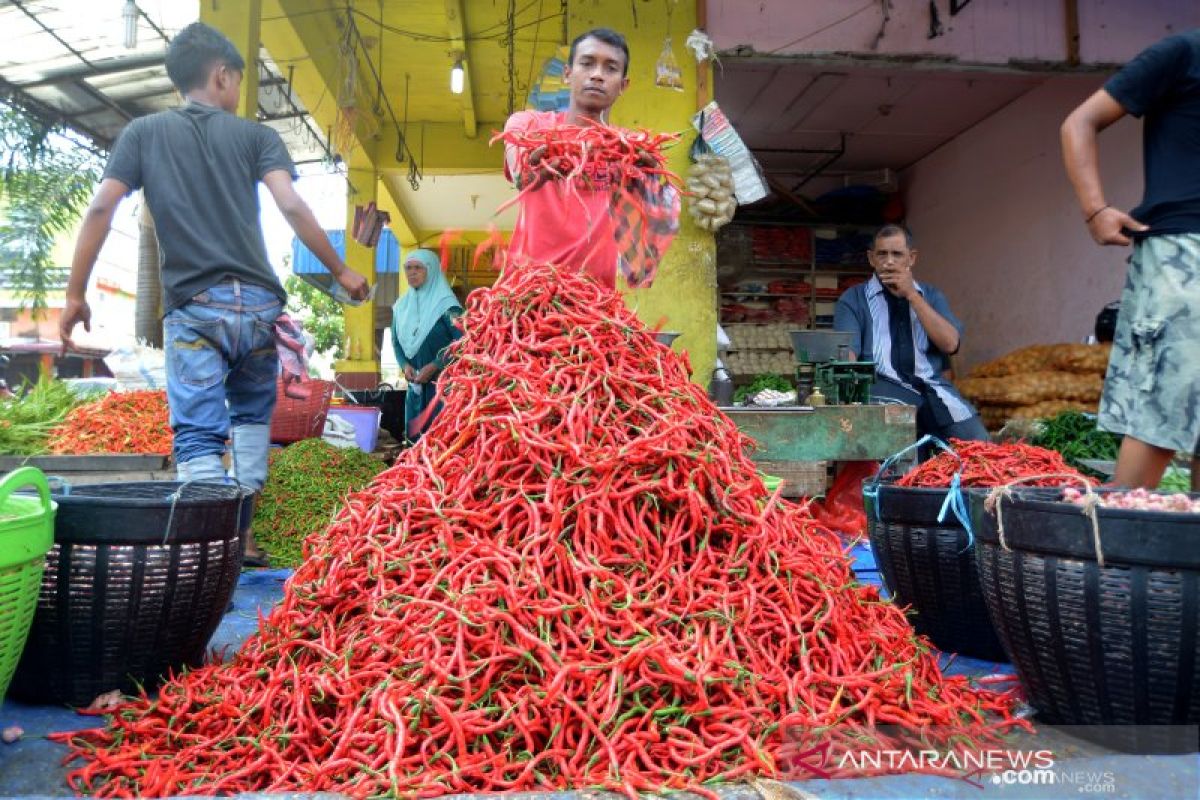 Harga cabai merah di Baturaja tembus Rp100.000/kilogram