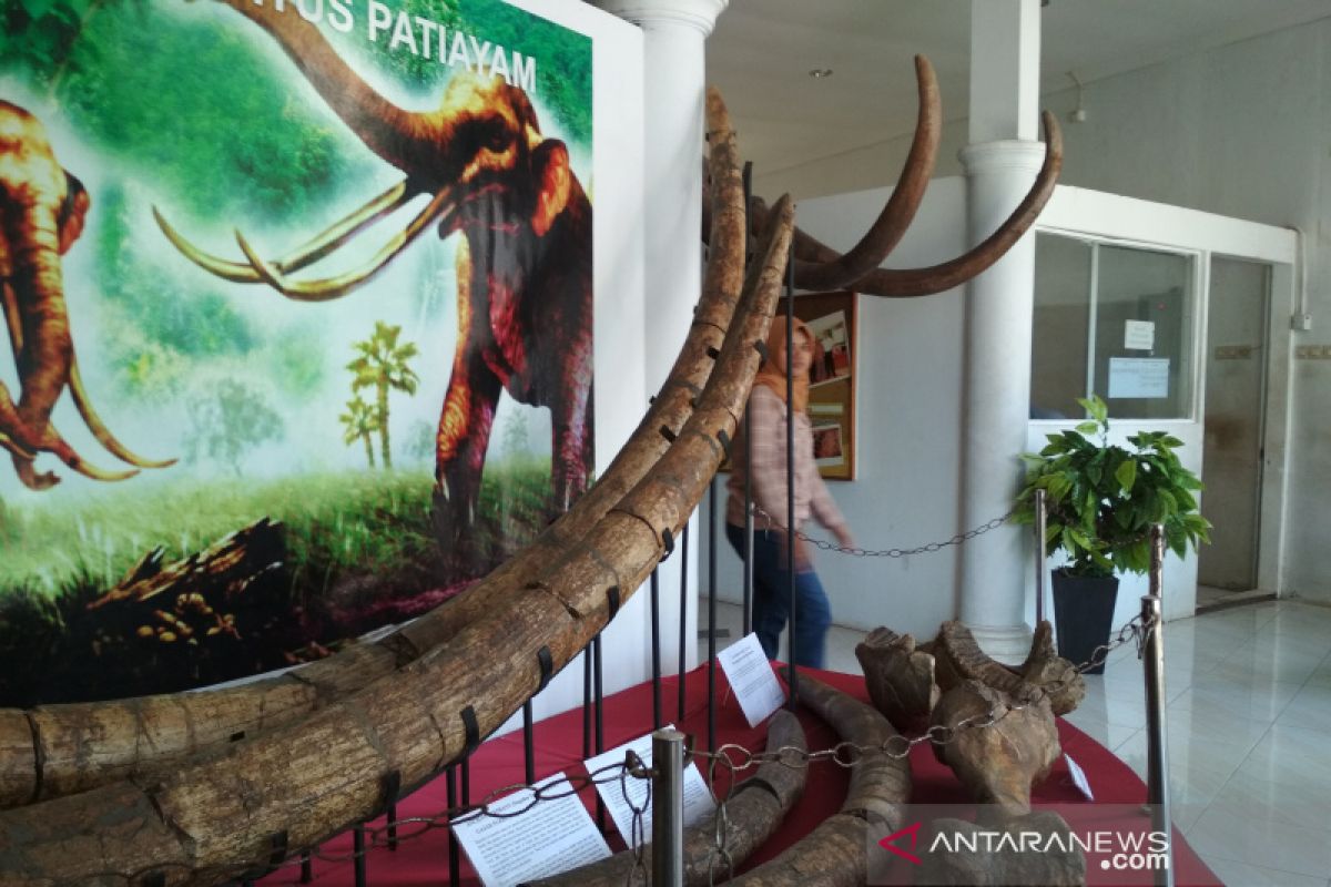 Koleksi Museum Patiayam ikut pameran keliling Museum Ronggowarsito