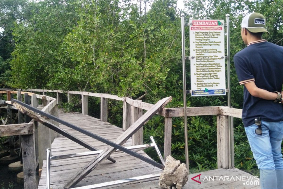 Trek mangrove Pariaman lapuk, dua wisatawan terjatuh
