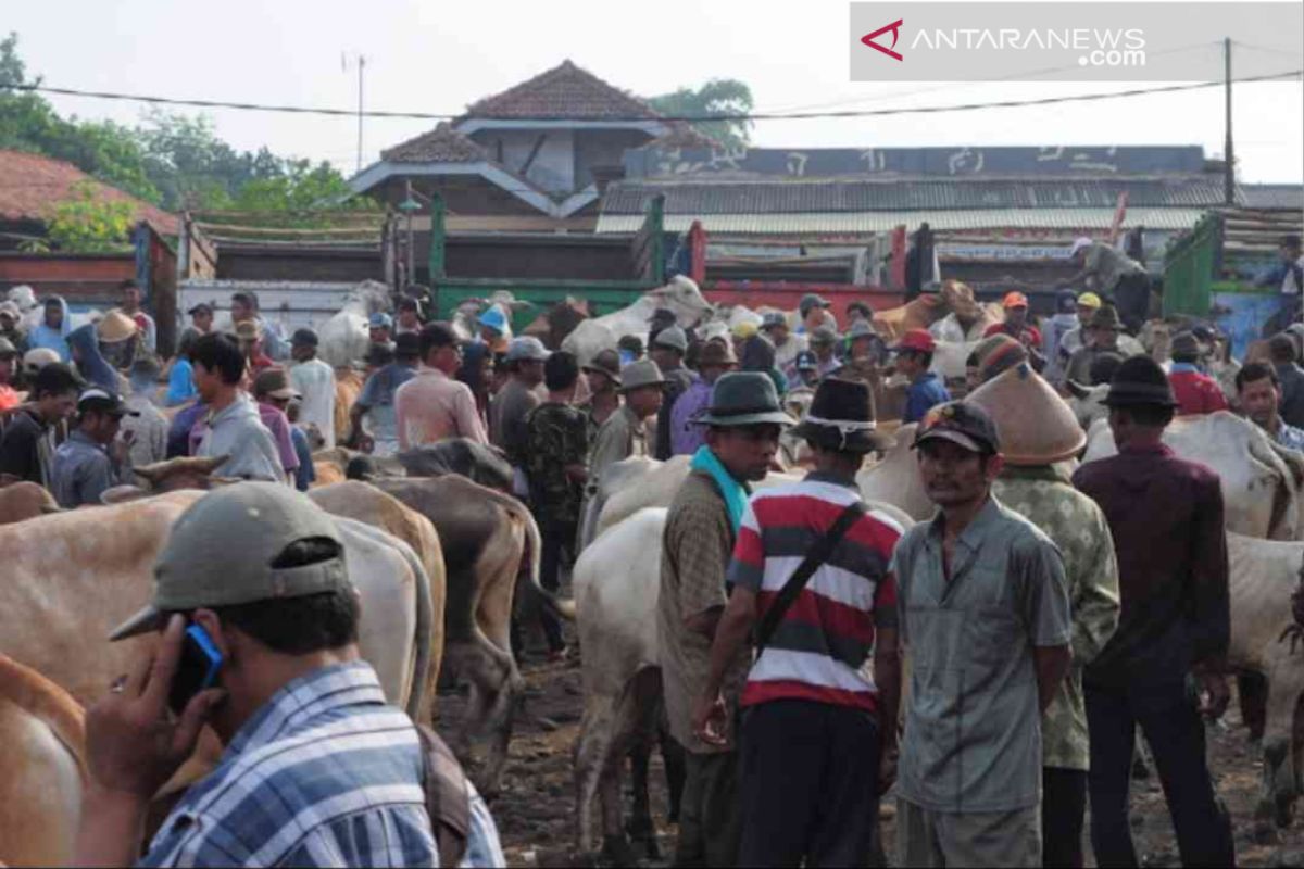 Pasar hewan Cibarusah beroperasi pada akhir  2019
