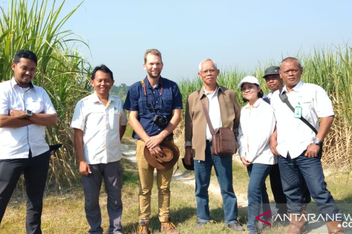 Produsen gula terbesar Afrika tertarik kembangkan varietas tebu karya peneliti Unej