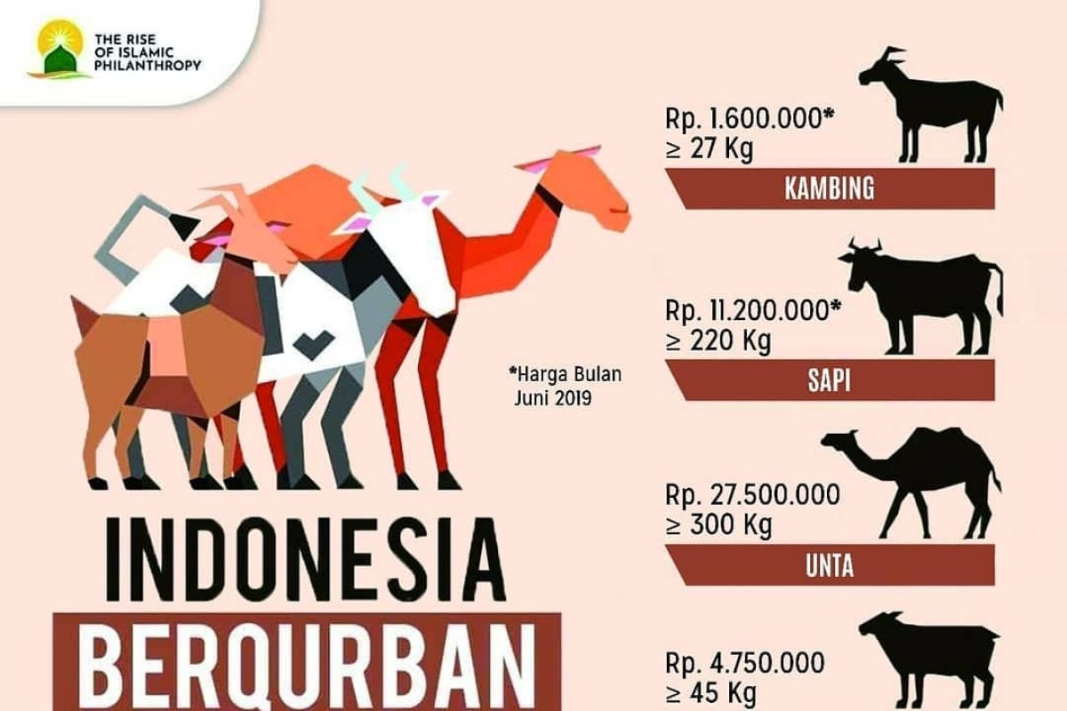 Global Qurban - ACT Lampung sosialisasikan harga hewan kurban