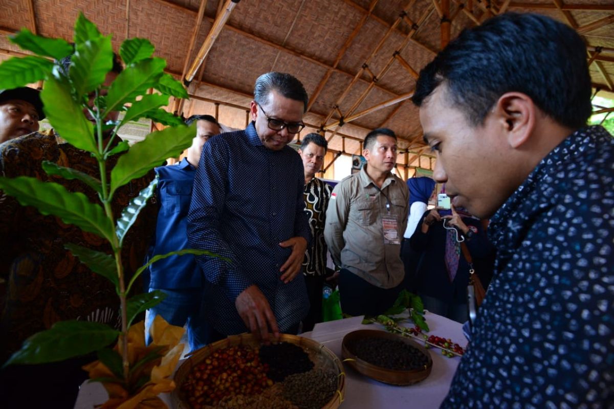 Gubernur apresiasi komunitas perkampungan kopi Sulsel di Kabupaten Gowa