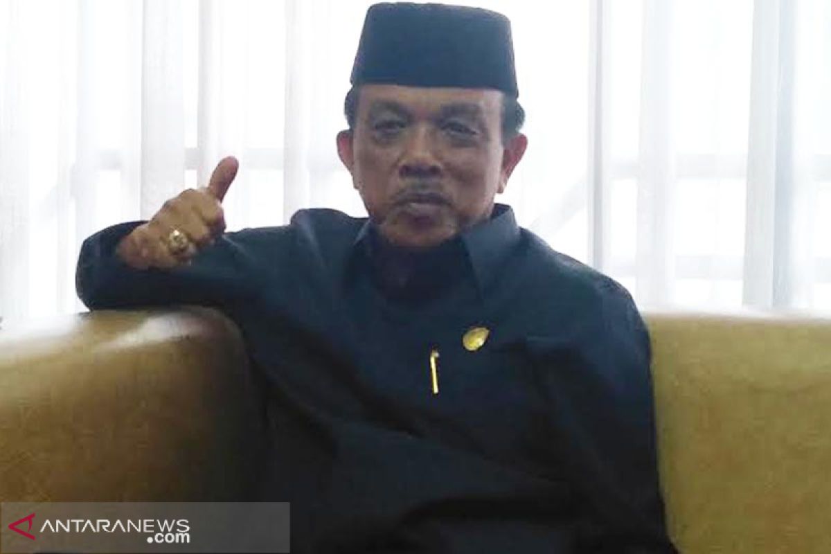 Penanganan karhutla sudah optimal, kata Wakil Ketua DPRD Kalteng