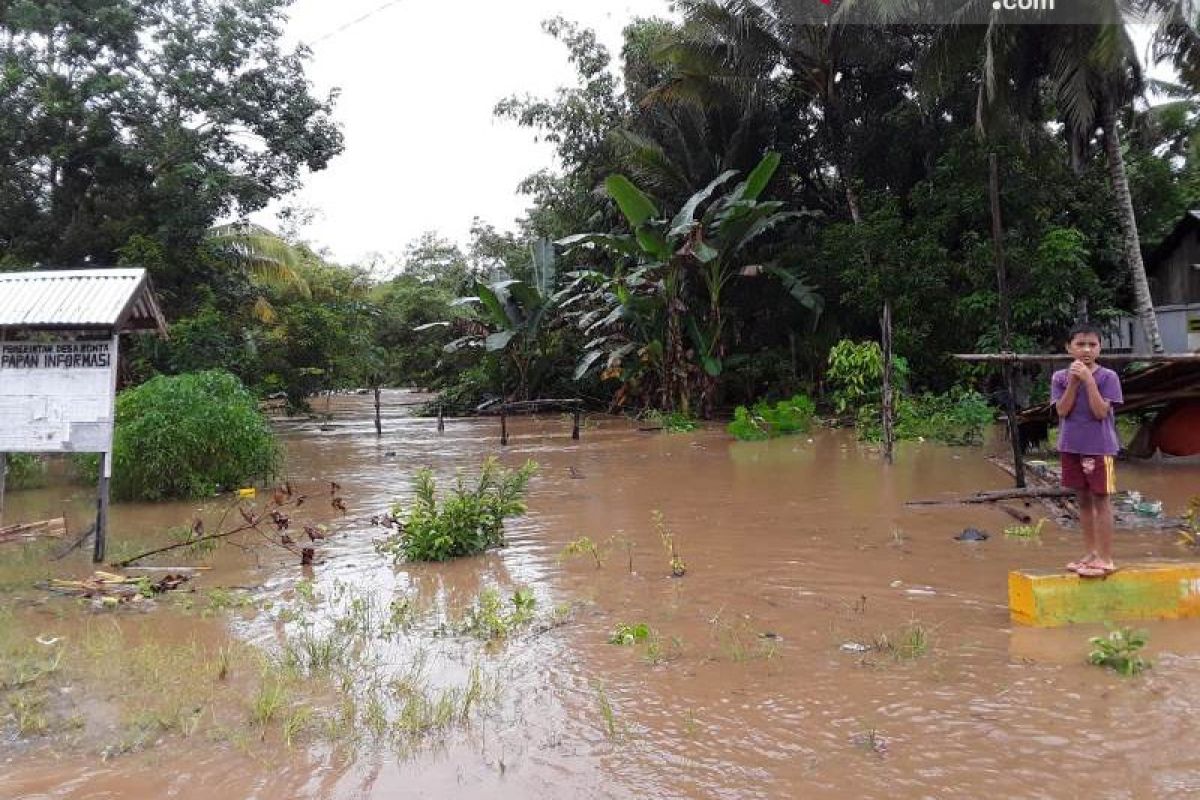 Walhi : Banjir Morowali Utara disebabkan masifnya perambahan hutan