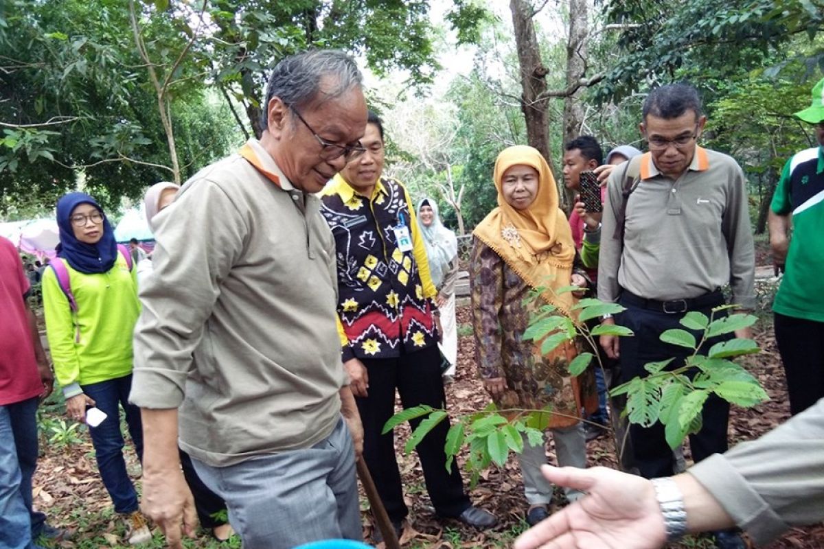 Sarwono Kusumaatmadja walau usia tua tetap enerjik