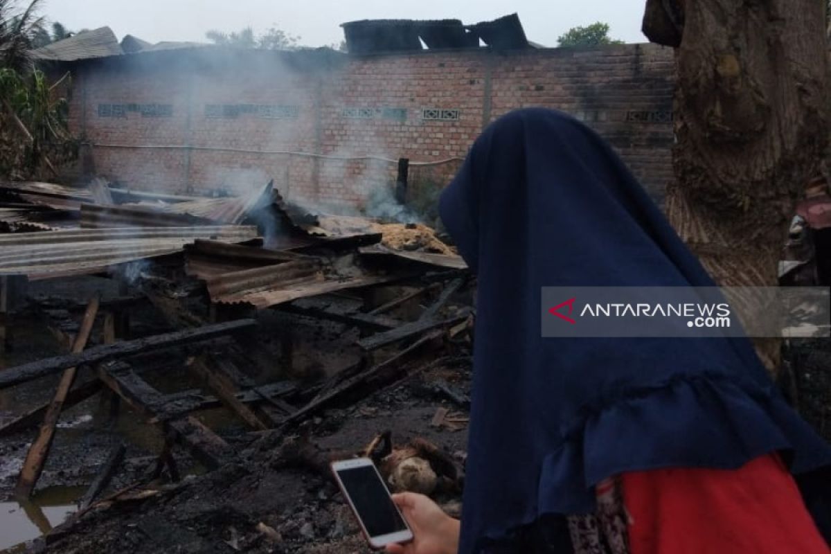 Belasan ekor kambing ikut terbakar saat kebakaran rumah kontrakan