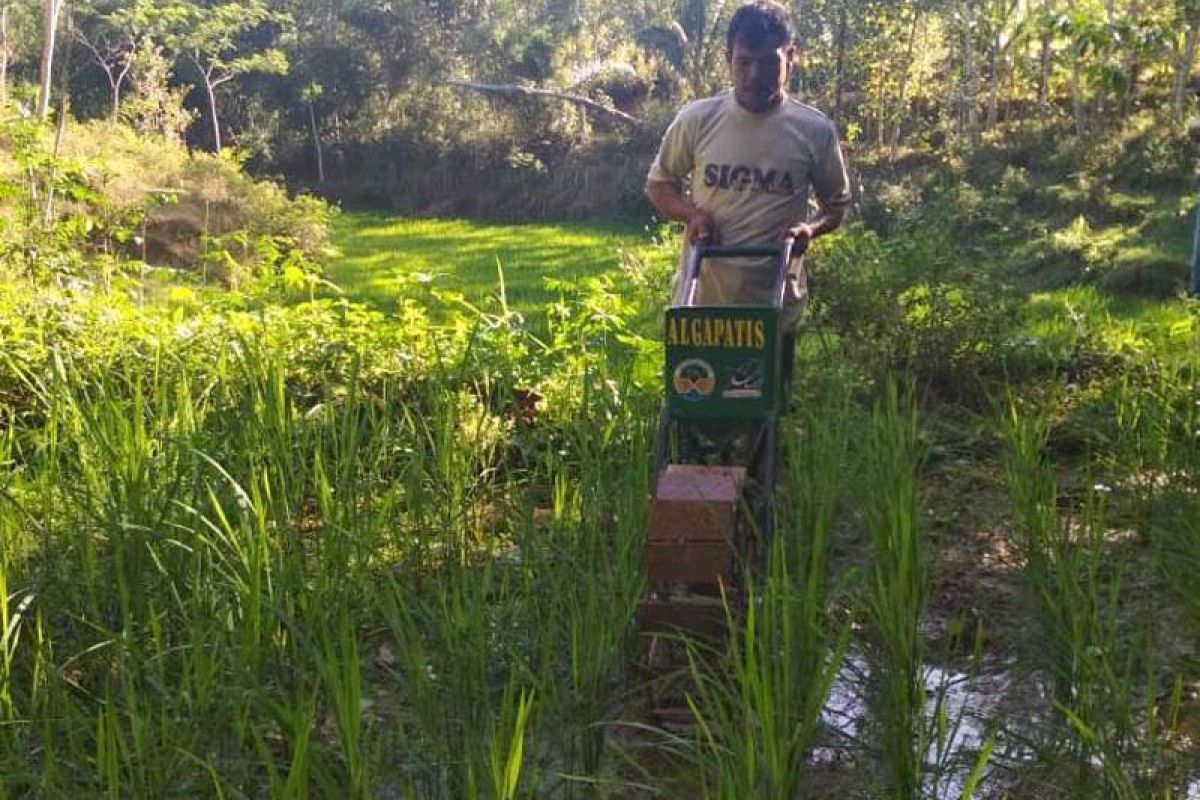 Mahasiswa Untidar ciptakan alat atasi gulma dan pemupukan otomatis