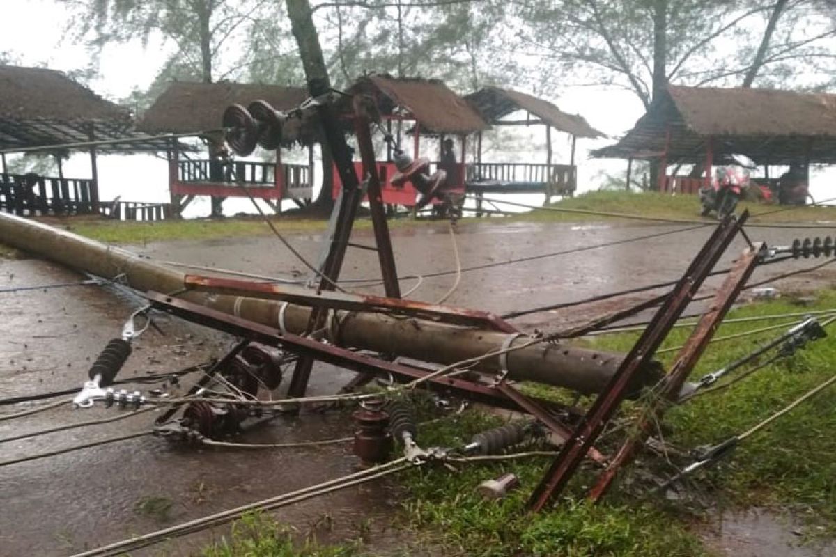 Tiang patah ditimpa pohong, listrik padam lima Kecamatan di Aceh Jaya