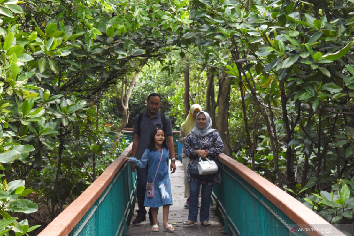 Wisata murah ekowisata mangrove DKI Jakarta