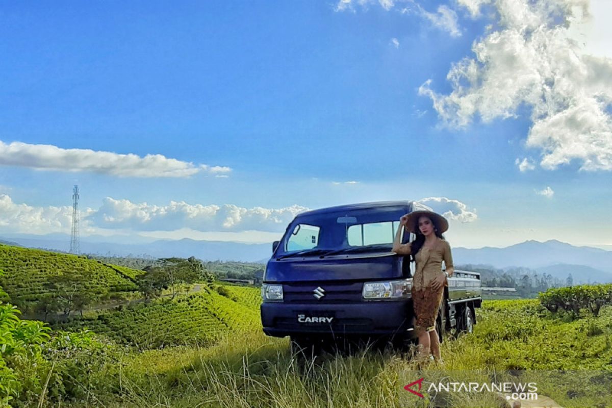 Ketangguhan Suzuki New Carry Pick Up diuji di Makassar