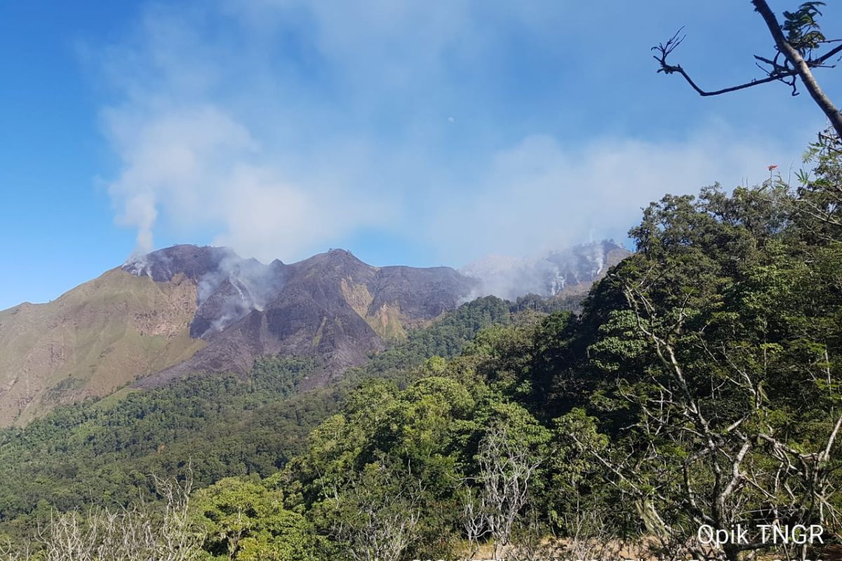 Ratusan hektare kawasan Gunung Rinjani terbakar