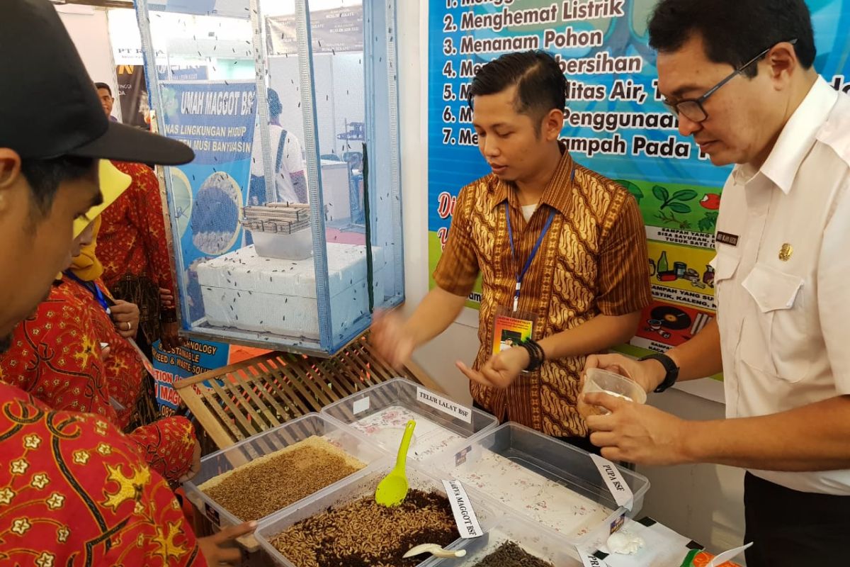 Muba kembangkan inovasi urai sampah organik gunakan lalat