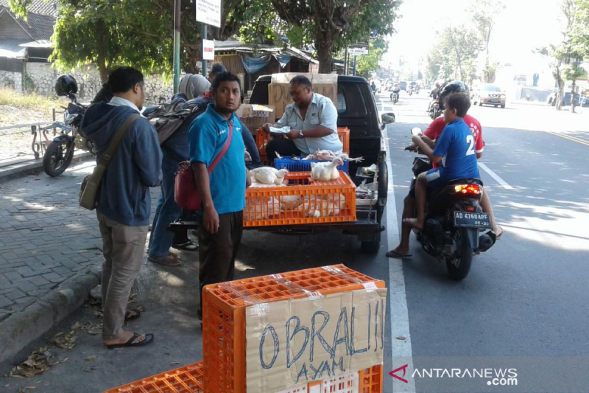 Protes harga jual anjlok, Pinsar obral ayam