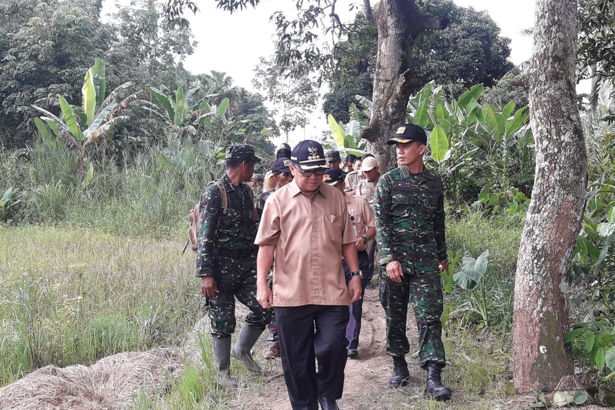 Petani Tabalong kembangkan bawang merah Tuk Tuk