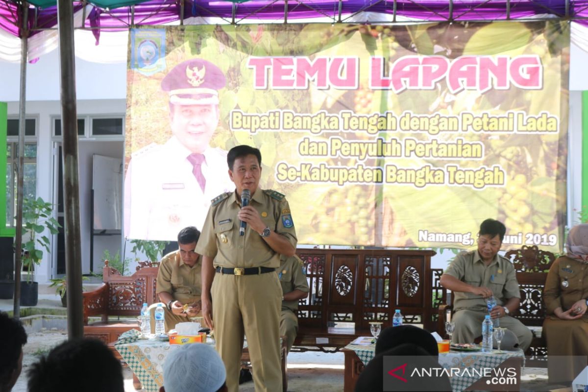 Bupati Bangka Tengah hadiri temu lapang dengan petani lada