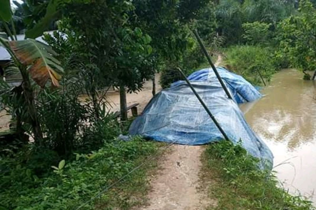 Tanggul Desa Lama Langkat terancam jebol