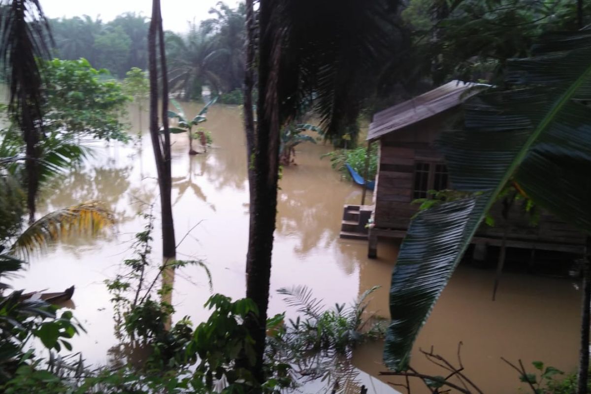 Banjir melanda pemukiman warga di Sei Lepan Langkat