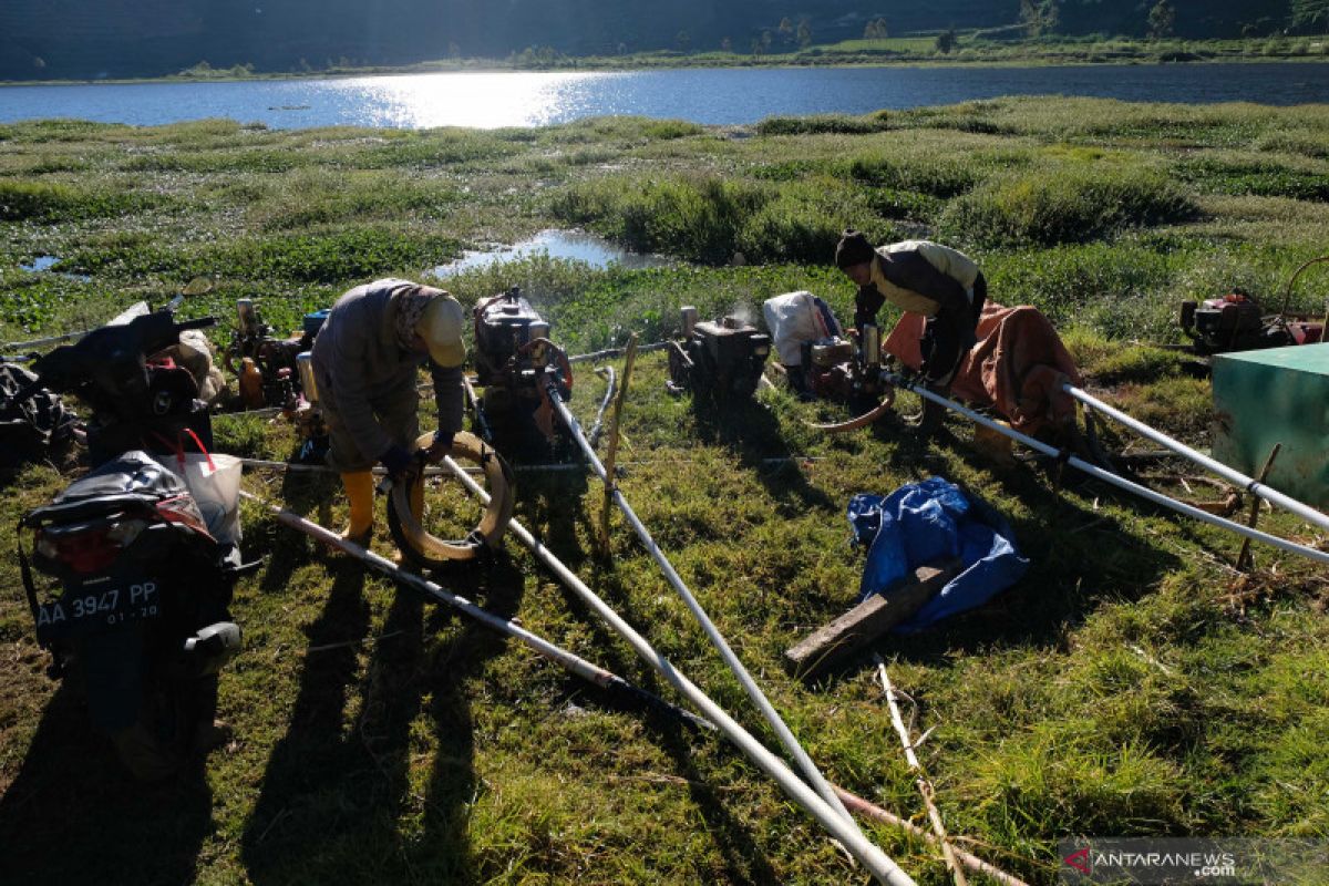 Suhu udara Dieng 10 derajat celsius sebabkan banyak faktor