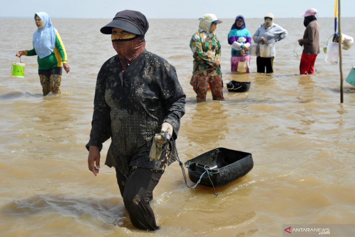 Kiara: Perkuat serapan hasil tangkapan ikan perempuan nelayan