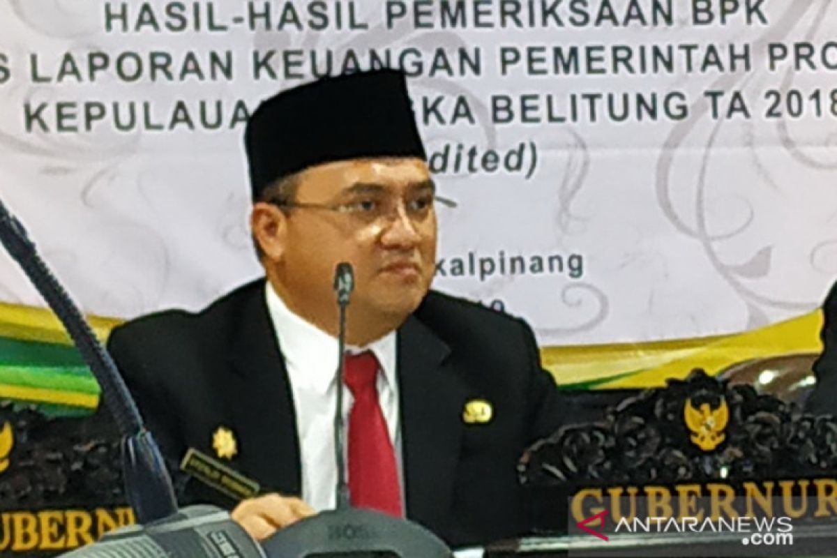 Provinsi Babel peringkat pertama nasional pemerataan pendapatan