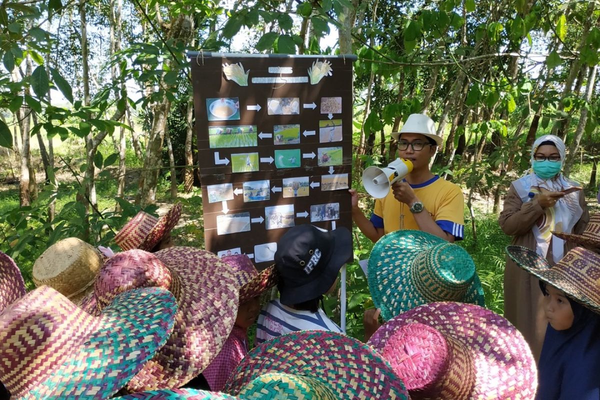 Siswa kelas sains Inkuiri ikuti eksplorasi ke sawah