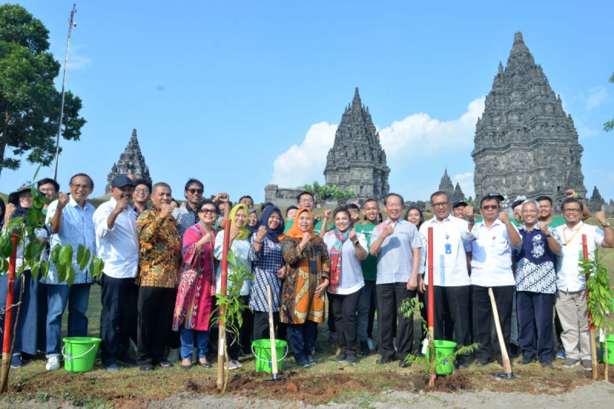 Candi Prambanan dihijaukan ribuan semak berbunga dan  pohon